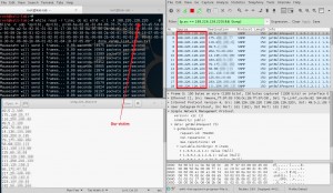 Picture 13 - Spoofing The Source IP and Flooding With MZ