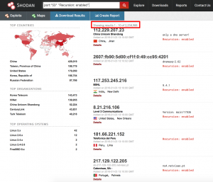 Picture 2 - Shodan DNS Scan Results