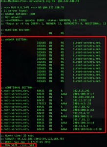 Picture 6 - An Example of a NS query