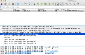 Picture 6 - Tcpdump Output of A Simulated BGP Notification Message