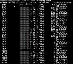 Picture 3 – A Sample Outout of a MAC Table